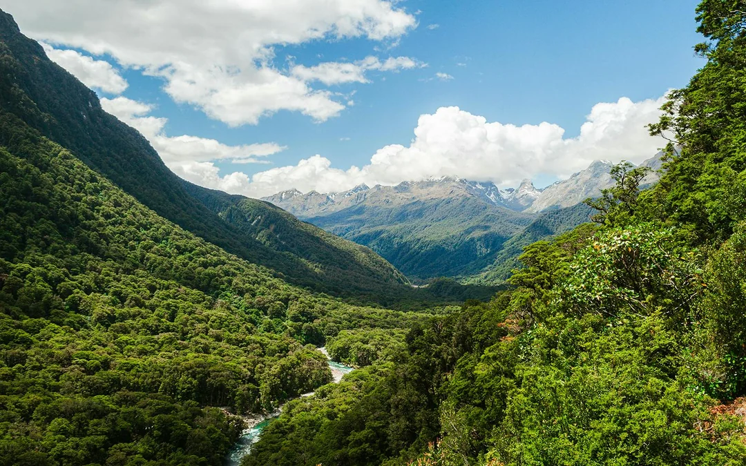 From Te Anau: Milford Sound Day Trip with Cruise & Return Transfers Image 12