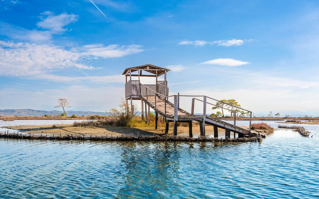 From Tirana/Durres: Karavasta Lagoon 4x4 Off-Road Day Trip Image 2