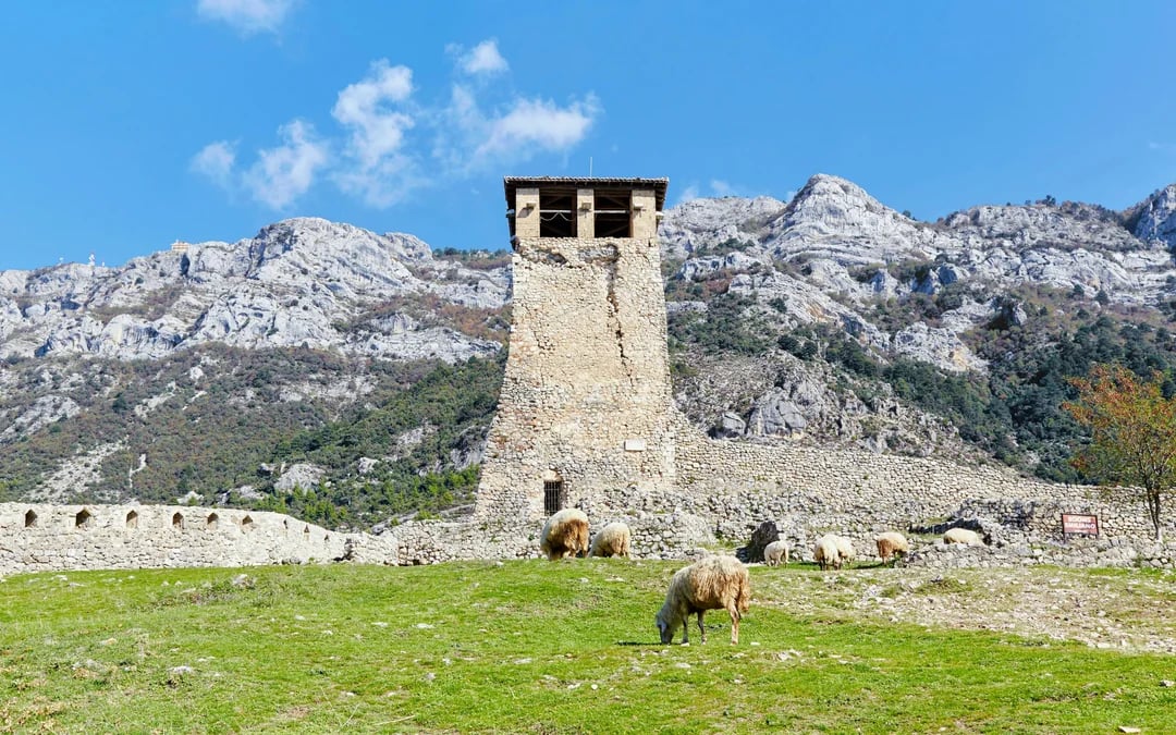 From Tirana: Kruja Castle, Skanderbeg Museum & Sari Salltik Guided Day Trip Image 8
