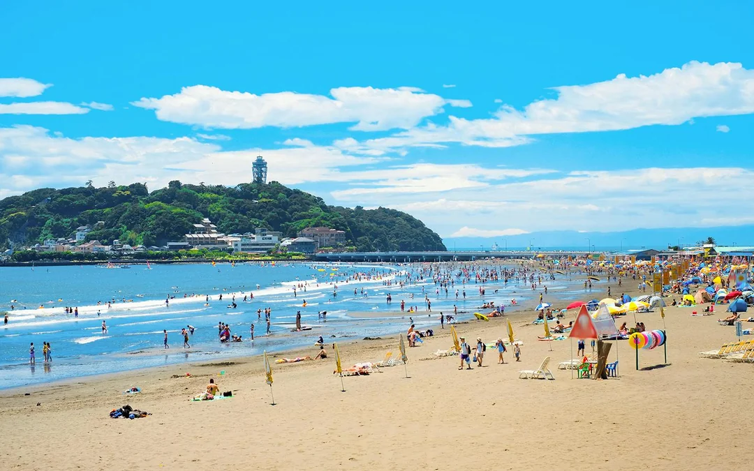 From Tokyo: Kamakura & Hasedera Day Trip with Kotoku In Temple, Enoshima, Enoden Train, & More Image 5