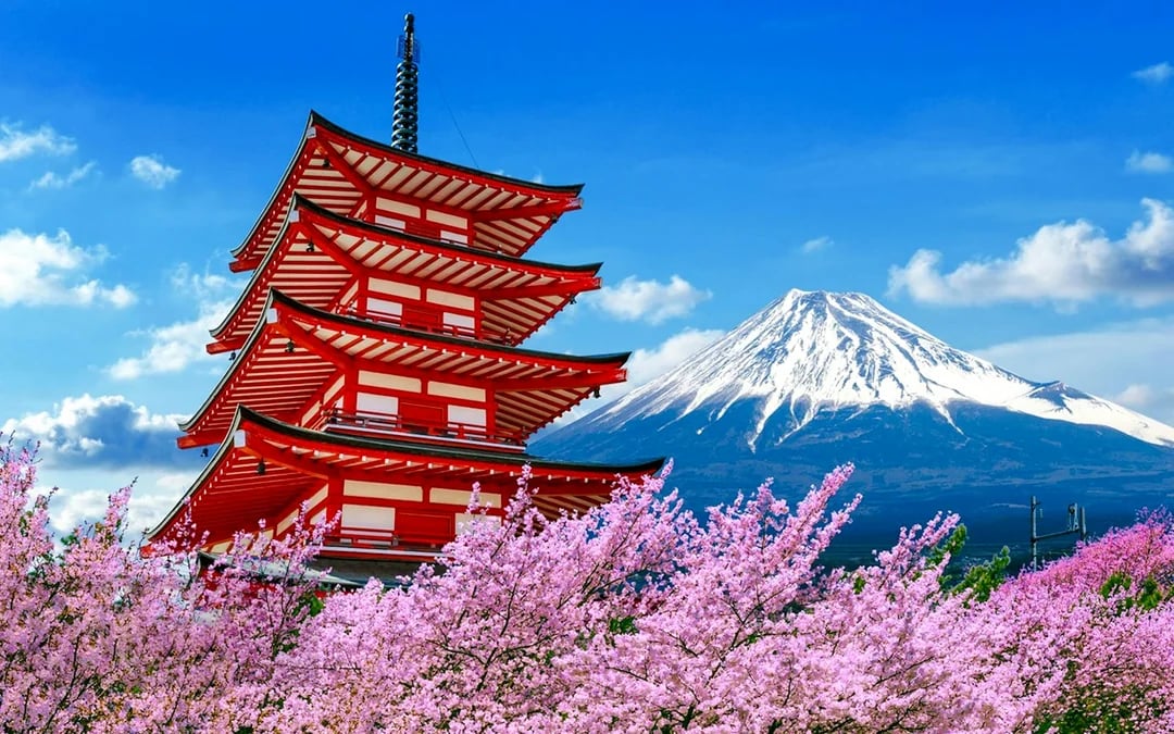 From Tokyo: Lake Kawaguchi Ropeway and Arakurayama Sengen Park Tour Image 3