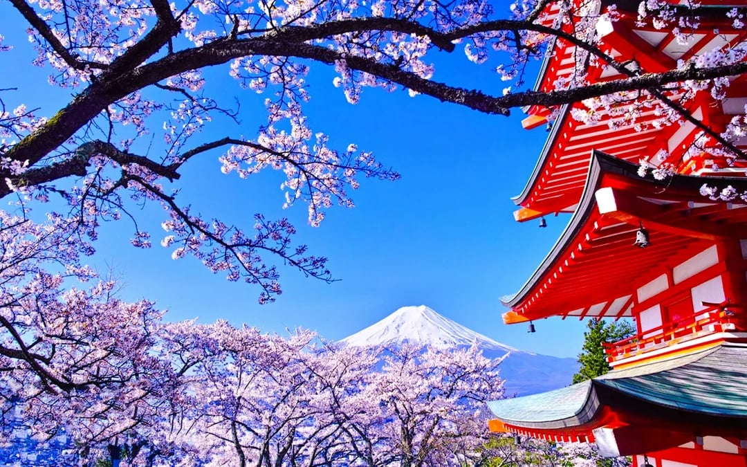 From Tokyo: Lake Kawaguchi Ropeway and Arakurayama Sengen Park Tour Image 4