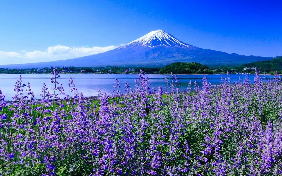 From Tokyo: Lake Kawaguchi Ropeway and Arakurayama Sengen Park Tour Image 6