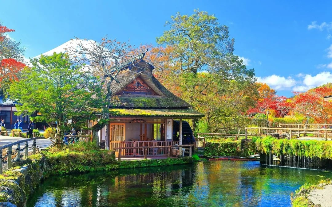 From Tokyo: Mt. Fuji Area & Lake Kawaguchiko Full-Day Tour Image 3