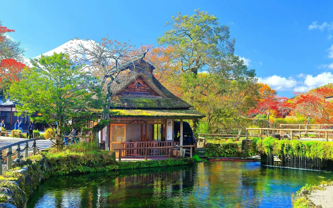 From Tokyo: Mt. Fuji Area & Lake Kawaguchiko Full-Day Tour Image 3