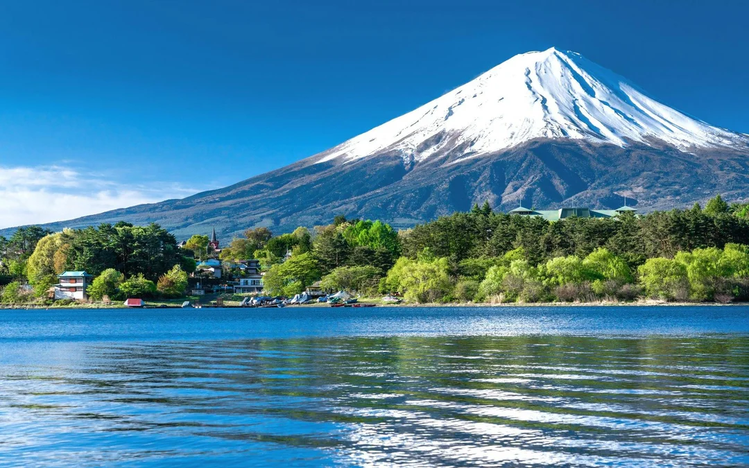 From Tokyo: Mt. Fuji Area & Lake Kawaguchiko Full-Day Tour Image 5