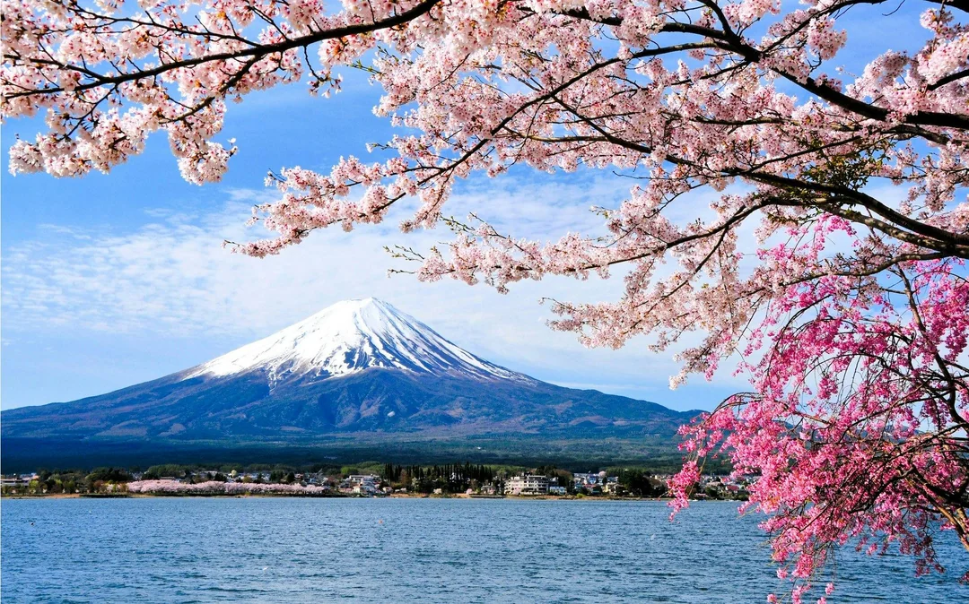 From Tokyo: Mt. Fuji Area & Lake Kawaguchiko Full-Day Tour Image 7