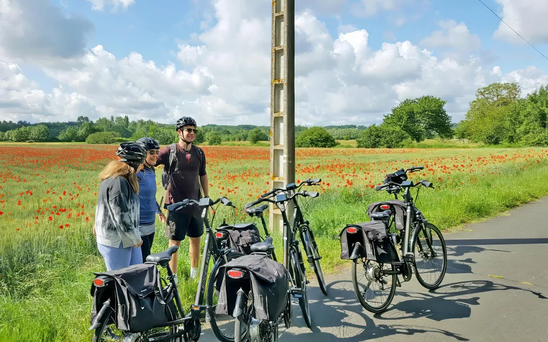 From Tours or Amboise: Chambord E-Bike Guided Tour Image 6
