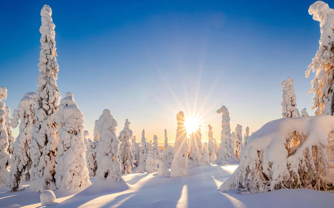 From Tromsø: Beginner-Friendly Small-Group Snowmobile Day Trip
Image 3