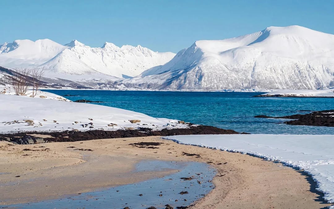 From Tromsø: Sommarøy Fjord Day Trip with Lunch & Professional Photography Image 4