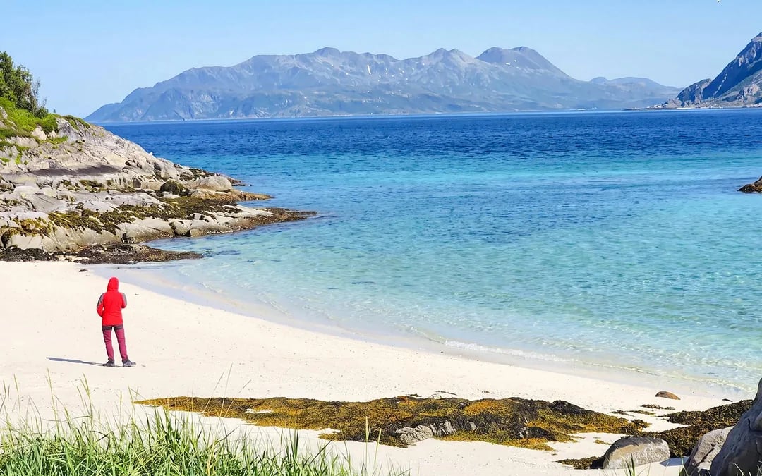 From Tromsø: Sommarøy Fjord Day Trip with Lunch & Professional Photography Image 7