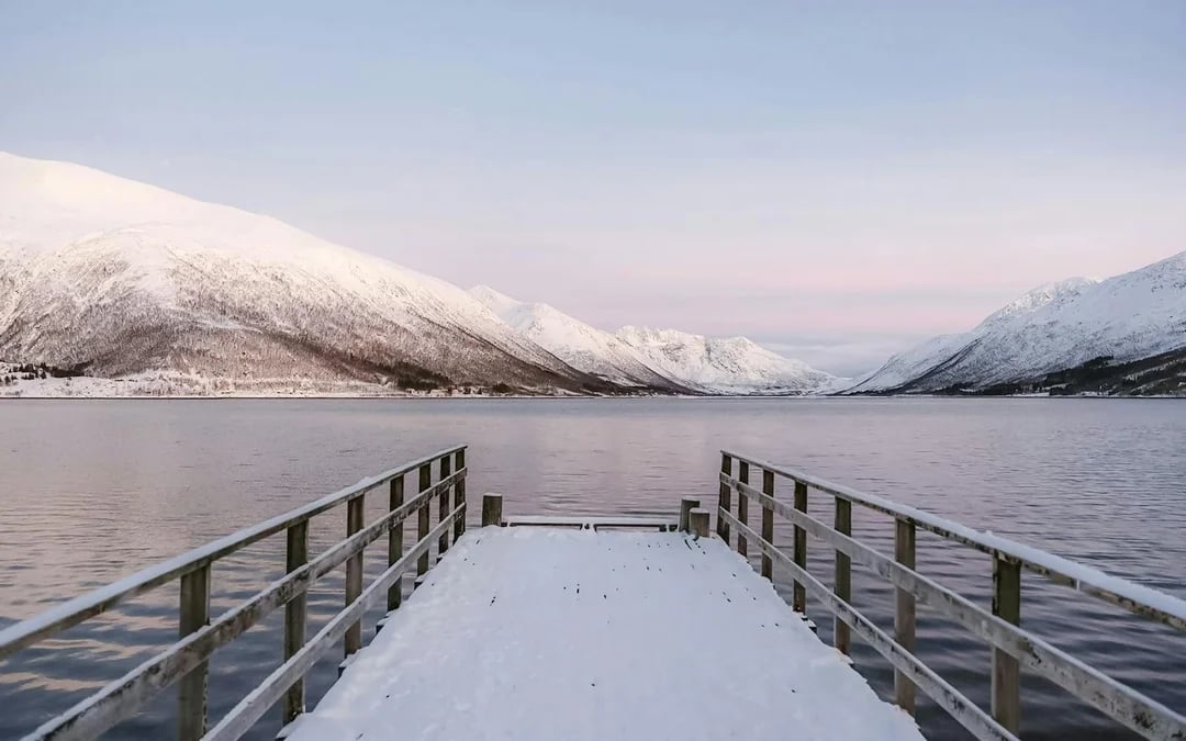 From Tromsø: Sommarøy Fjord Day Trip with Lunch & Professional Photography Image 10