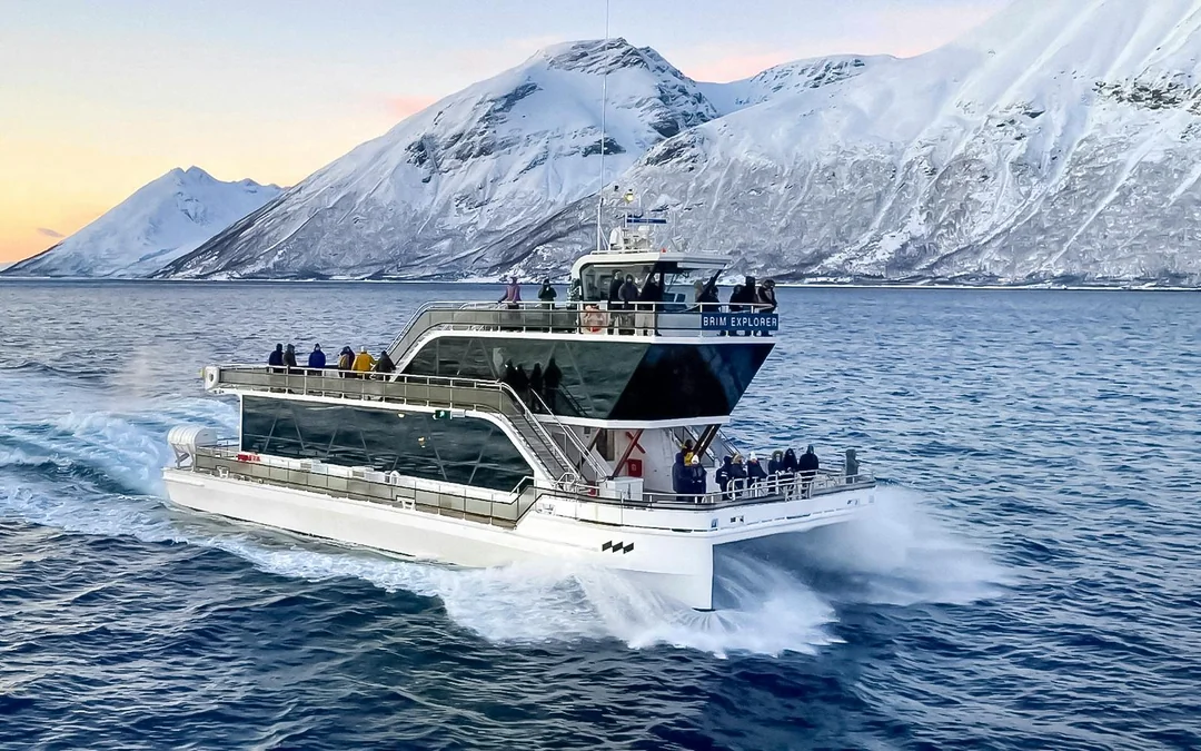 From Tromso: Arctic Fjord Cruise & Wildlife Tour Image 1