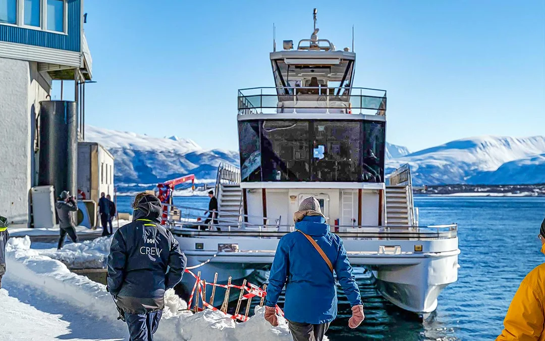 From Tromso: Arctic Fjord Cruise & Wildlife Tour Image 2