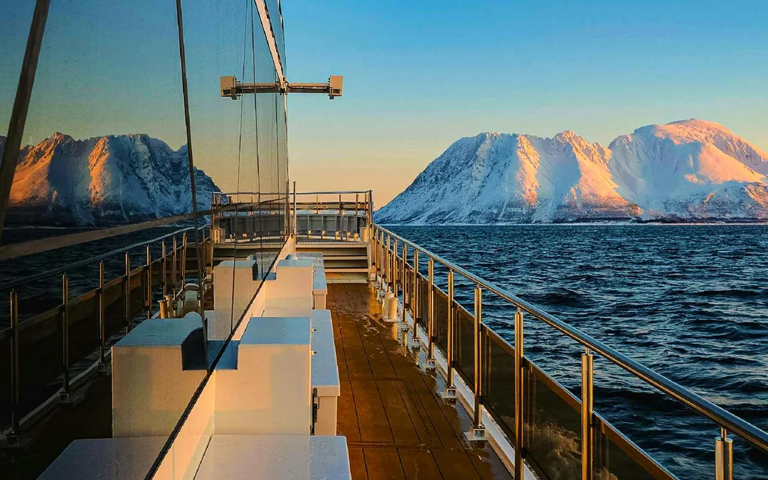 From Tromso: Arctic Fjord Cruise & Wildlife Tour Image 12