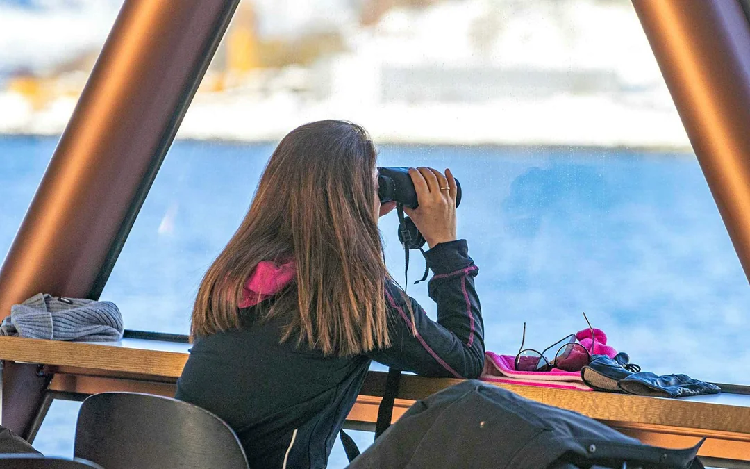 From Tromso: Arctic Fjord Cruise & Wildlife Tour Image 3