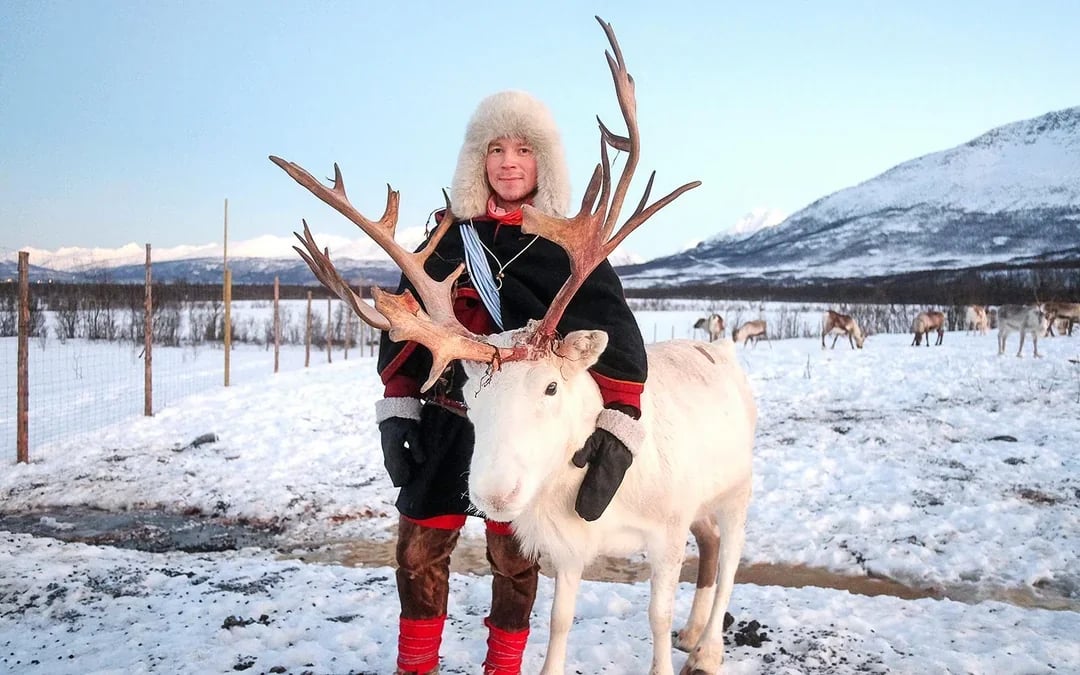 From Tromso: Reindeer Feeding and Sami Culture Tour with Lunch Image 1