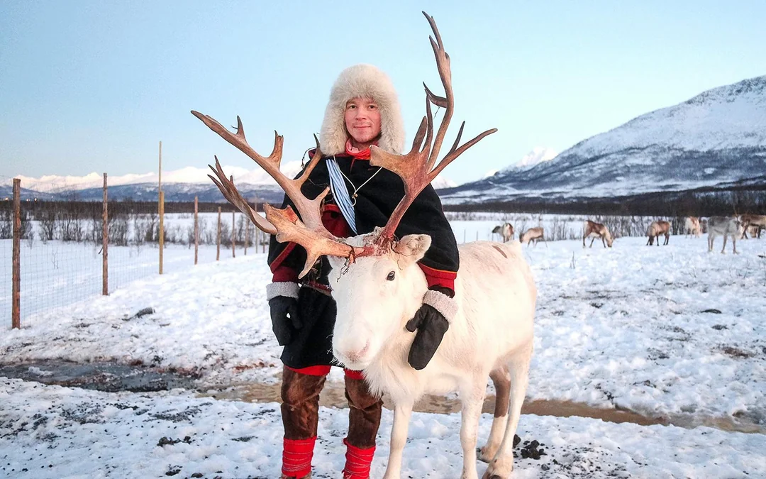 From Tromso: Reindeer Feeding and Sami Culture Tour with Lunch Image 1