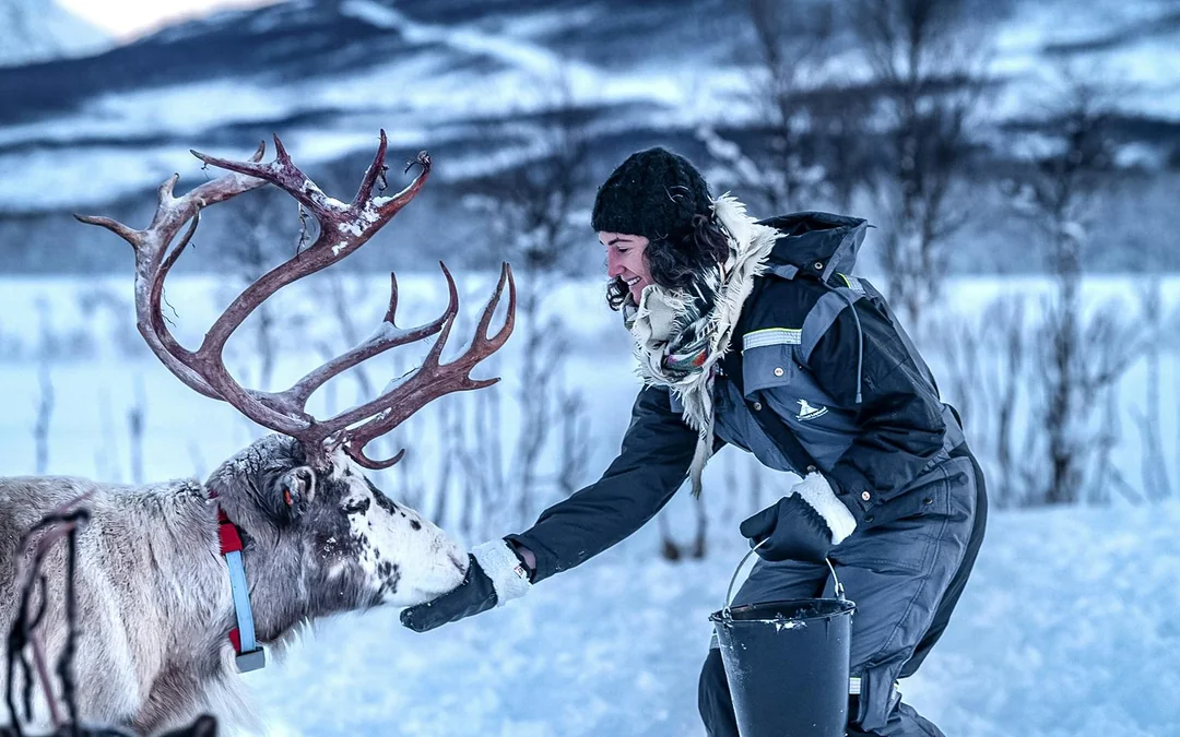 From Tromso: Reindeer Feeding Guided Tour with Chance of Northern Lights Image 1