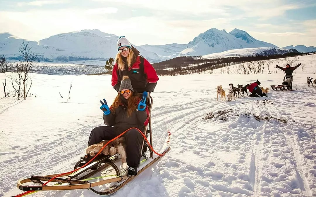From Tromso: Self-Drive Husky Sledding Tour Image 2