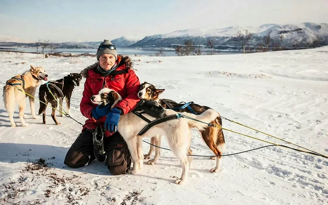 From Tromso: Self-Drive Husky Sledding Tour Image 3