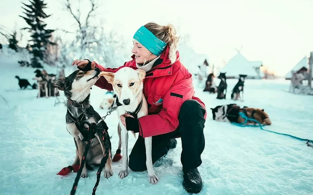 From Tromso: Self-Drive Husky Sledding Tour Image 5