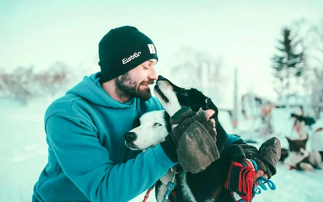 From Tromso: Self-Drive Husky Sledding Tour Image 6