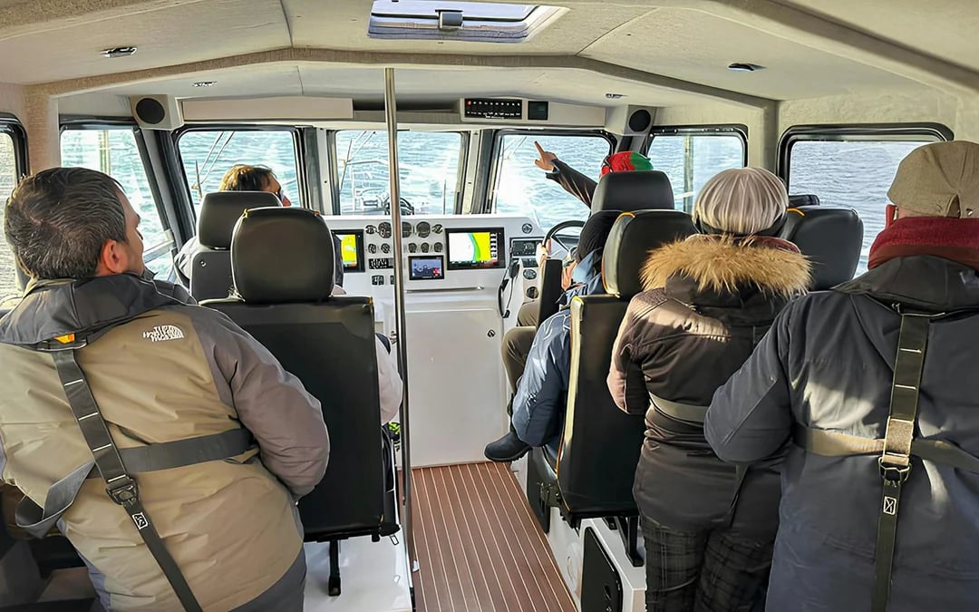 From Tromso: Skjervoy Small Group Whale Watching Cruise Image 2