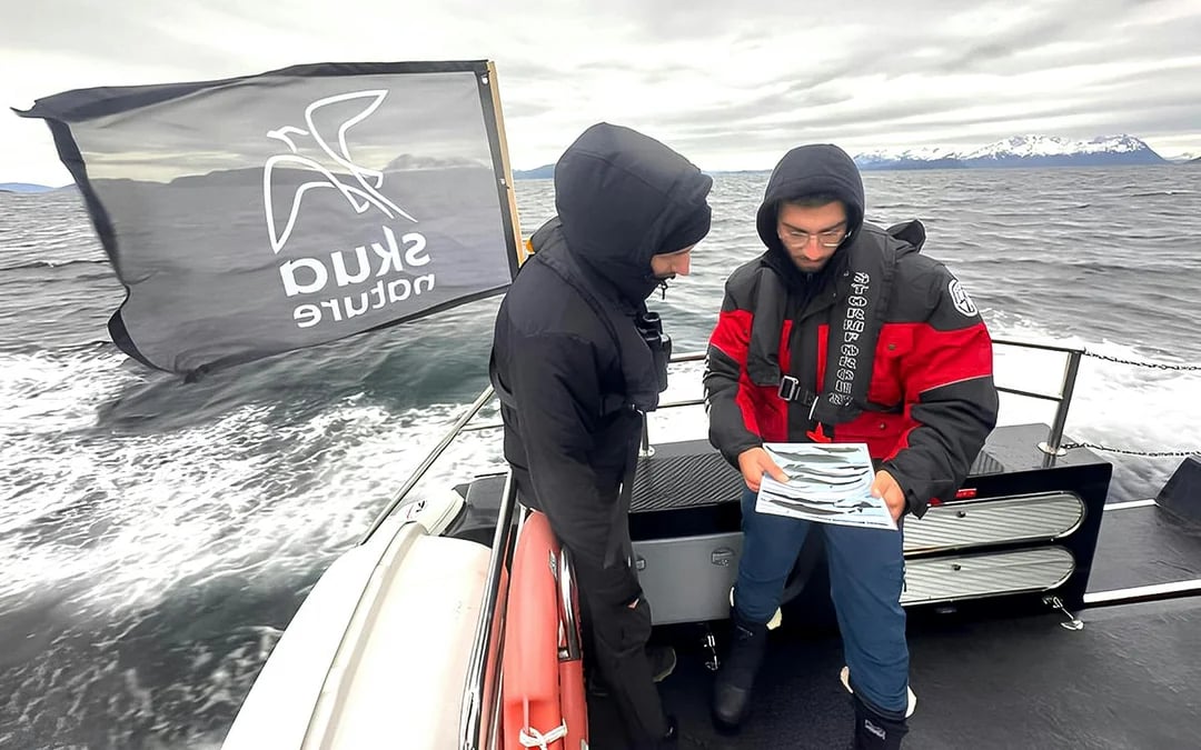 From Tromso: Skjervoy Small Group Whale Watching Cruise Image 4