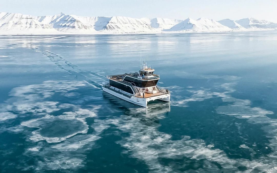 From Tromso: Whale Watching Tour on Hybrid-Electric Catamaran Image 9