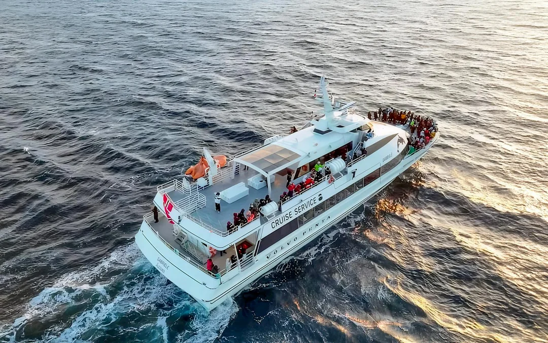 From Tromso: Whale Watching Tour On Motor Catamaran Image 2