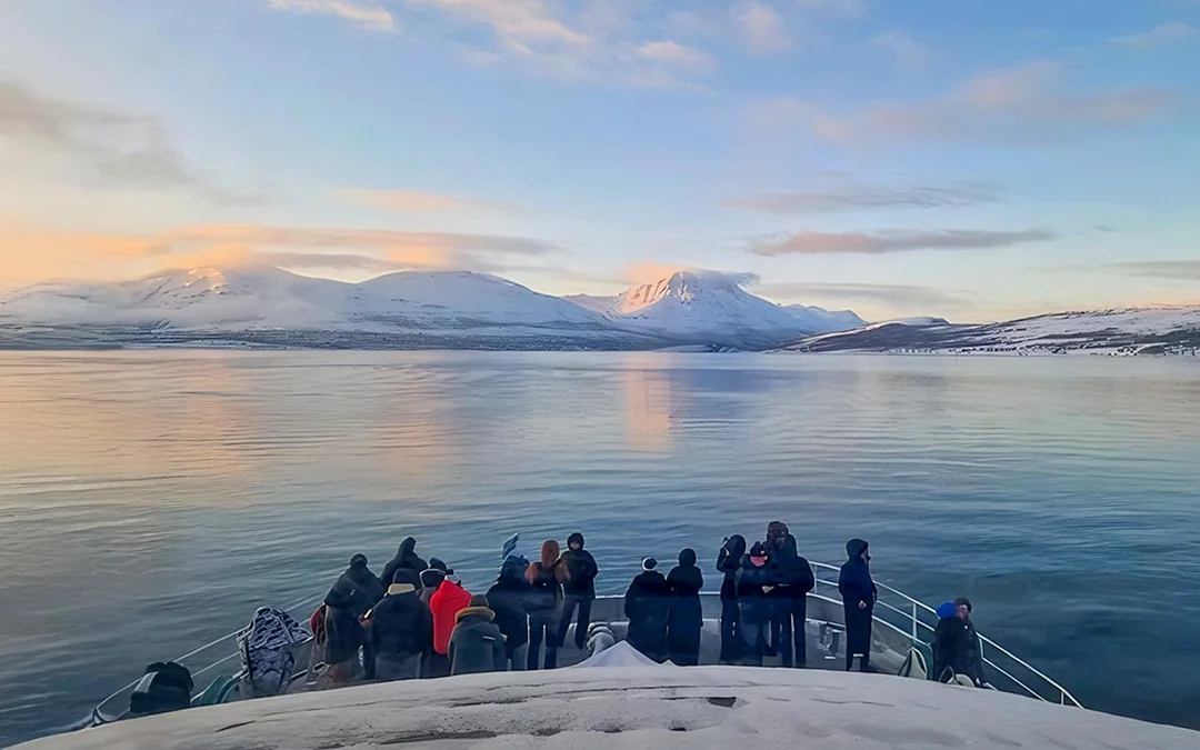 From Tromso: Whale Watching Tour On Motor Catamaran Image 5