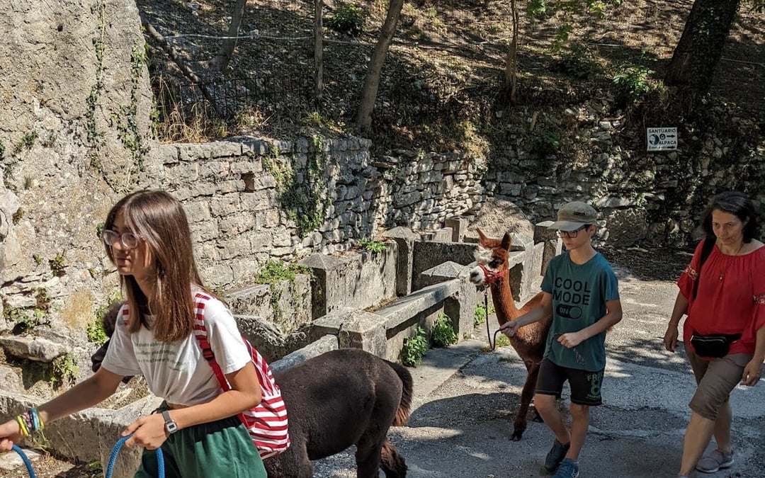 From Verona: Sirmione, Lazise and Madonna della Corona Sanctuary full-day tour Image 9