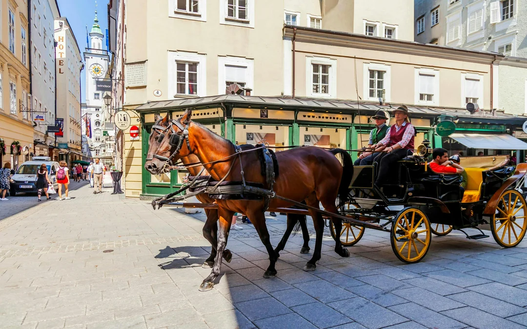 From Vienna: Hallstatt, Salzburg, Alps & Lakes Day Trip
 Image 3