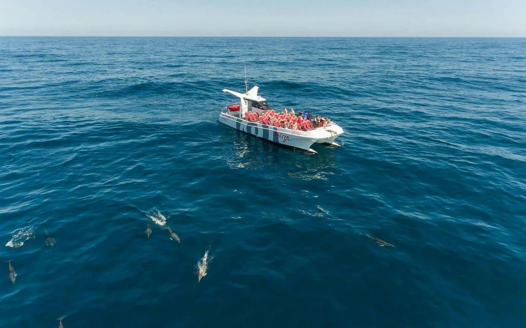 From Vilamoura: Dolphins & Benagil Cave Catamaran Cruise Image 1