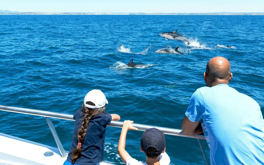 From Vilamoura: Dolphins & Benagil Cave Catamaran Cruise  Image 5