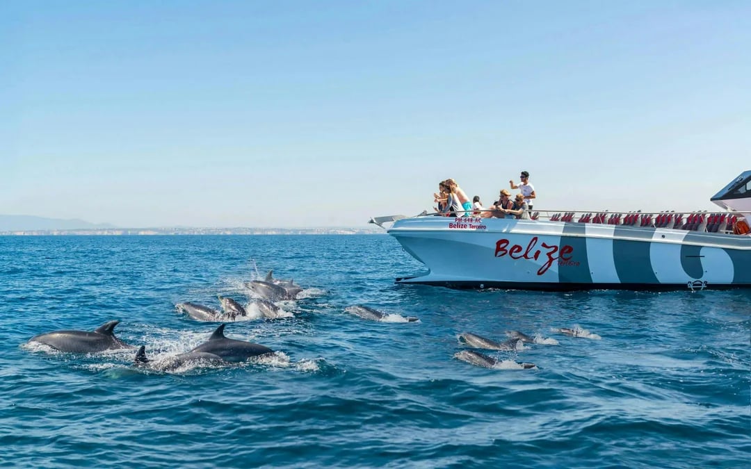From Vilamoura: Dolphins & Benagil Cave Catamaran Cruise  Image 6