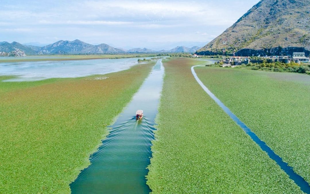 From Virpazar: Lake Skadar Guided Boat Tour & Kom Monastery with Drinks Image 8