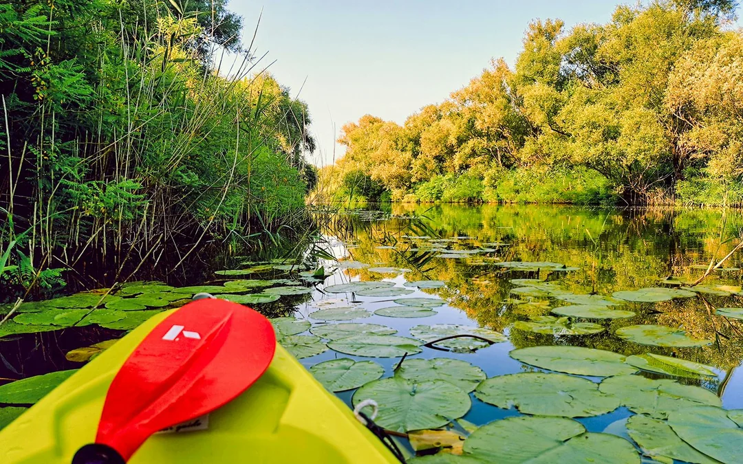 From Virpazar: Lake Skadar Self-Guided Kayak Tour Image 2