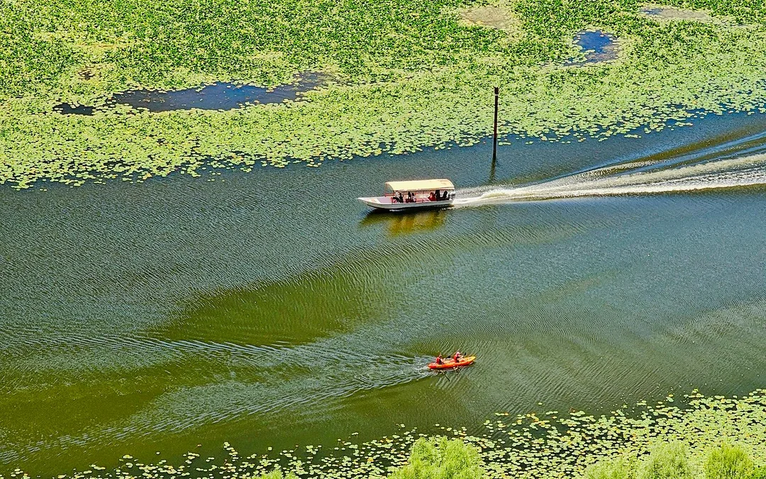 From Virpazar: Lake Skadar Self-Guided Kayak Tour Image 4