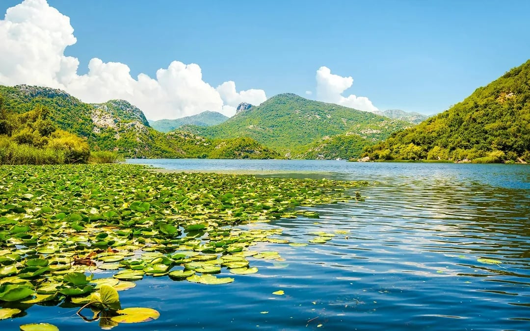 From Virpazar: Lake Skadar Self-Guided Kayak Tour Image 6