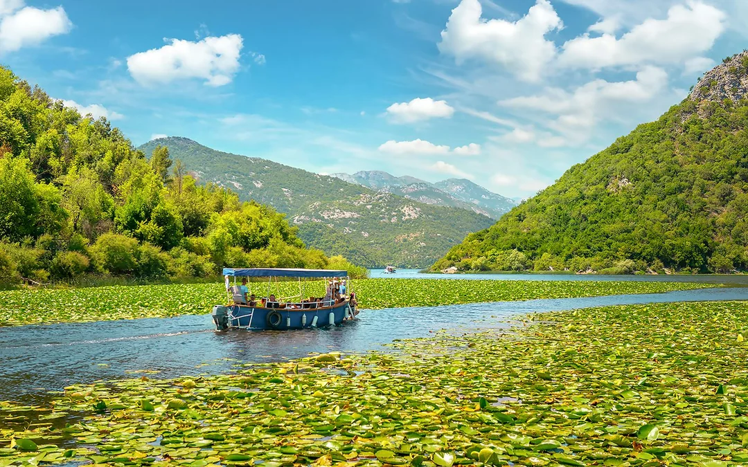 From Virpazar: Lake Skadar Sightseeing Boat Tour & Grmožur Fortress with Drinks
Image 1