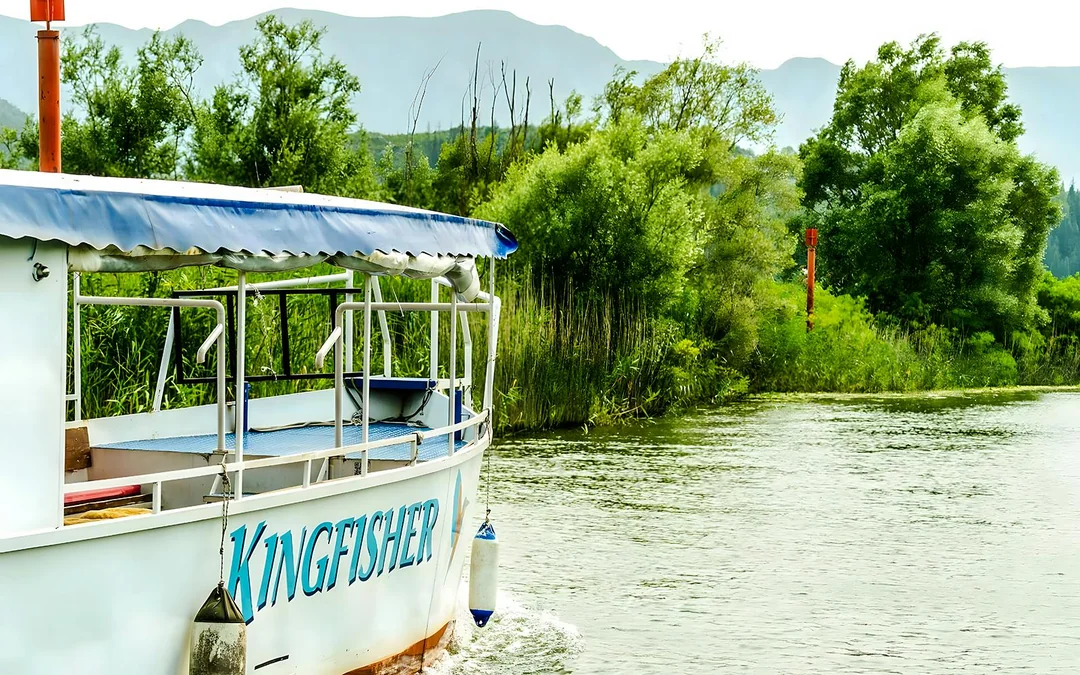  From Virpazar: Lake Skadar Sightseeing Boat Tour & Grmožur Fortress with Drinks
 Image 3