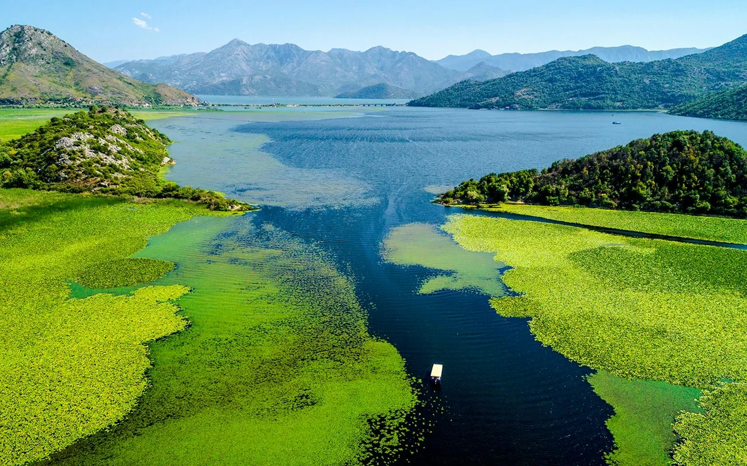  From Virpazar: Lake Skadar Sightseeing Boat Tour & Grmožur Fortress with Drinks
 Image 4
