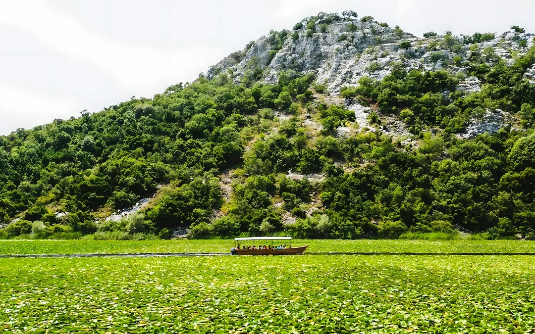 From Virpazar: Lake Skadar Sightseeing Boat Tour & Kom Monastery with Drinks
 Image 3
