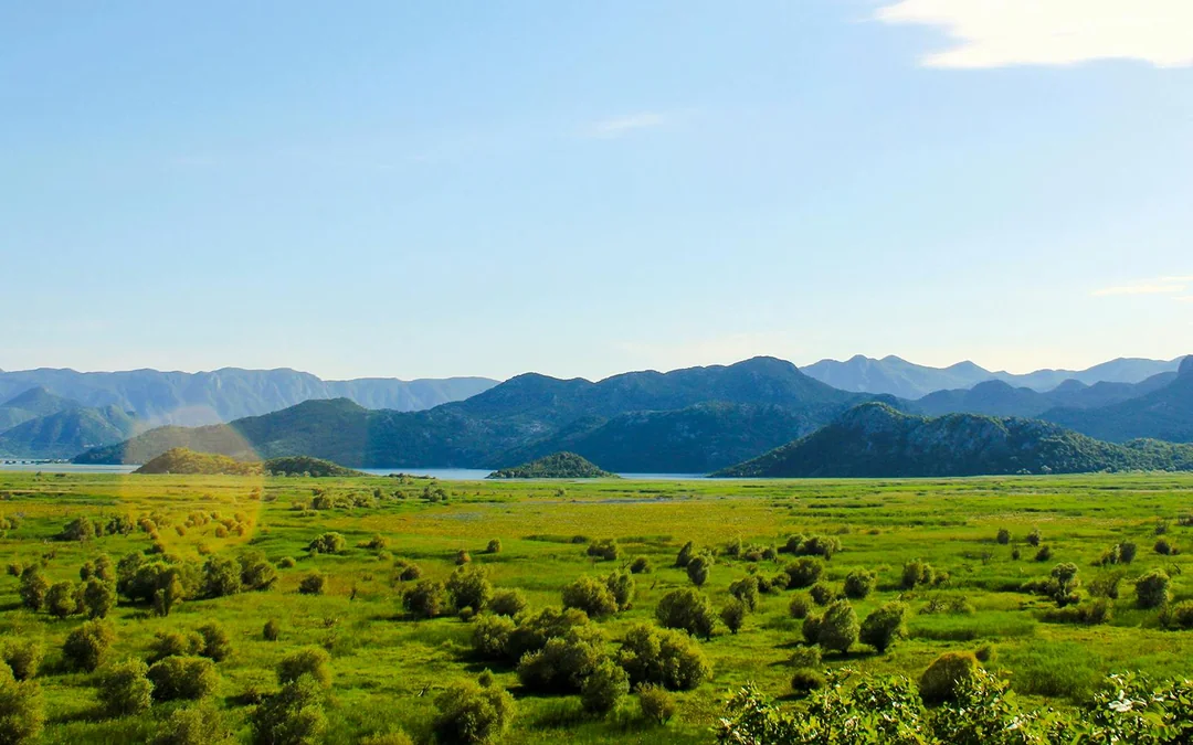 From Virpazar: Lake Skadar Sightseeing Boat Tour & Kom Monastery with Drinks
 Image 4