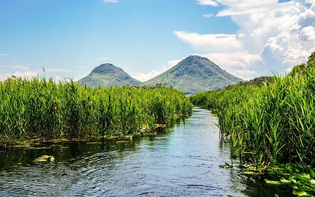 From Virpazar: Lake Skadar Sightseeing Boat Tour with Drinks
Image 1