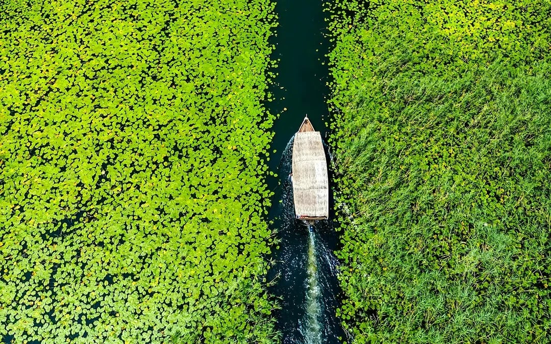 From Virpazar: Lake Skadar Sightseeing Boat Tour with Drinks
Image 2