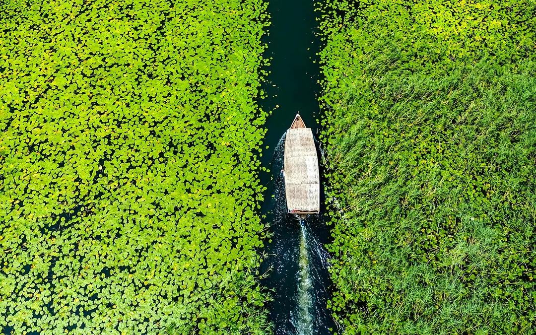  From Virpazar: Lake Skadar Sightseeing Boat Tour with Drinks
 Image 2