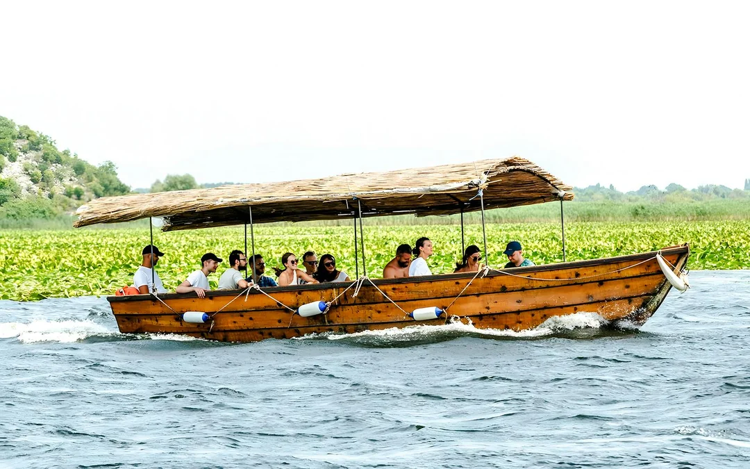  From Virpazar: Lake Skadar Sightseeing Boat Tour with Drinks
 Image 4